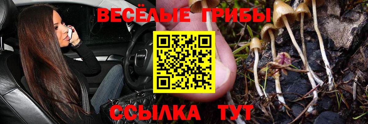 Галлюциногенные грибы Psilocybine cubensis  Вход с VPN  Южно-Сахалинск 