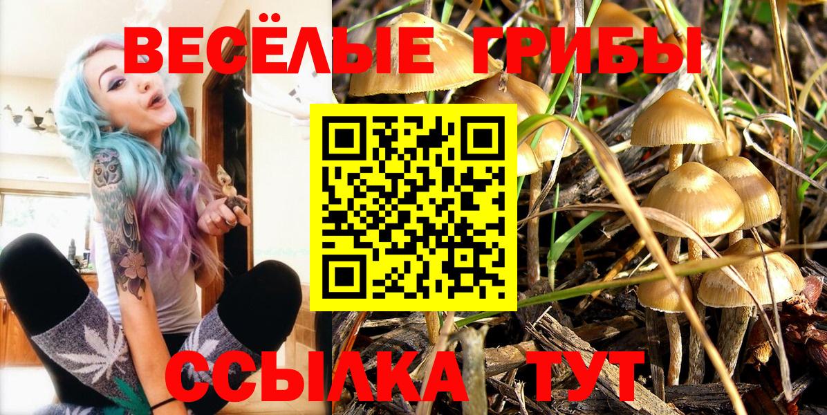 Псилоцибиновые грибы Psilocybine cubensis Южно-Сахалинск